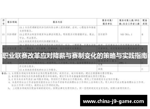 职业联赛改革应对降薪与赛制变化的策略与实践指南 职业联赛改革应对降薪与赛制变化的策略与实践指南